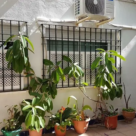 El Apartamento De Las Flores Apartment